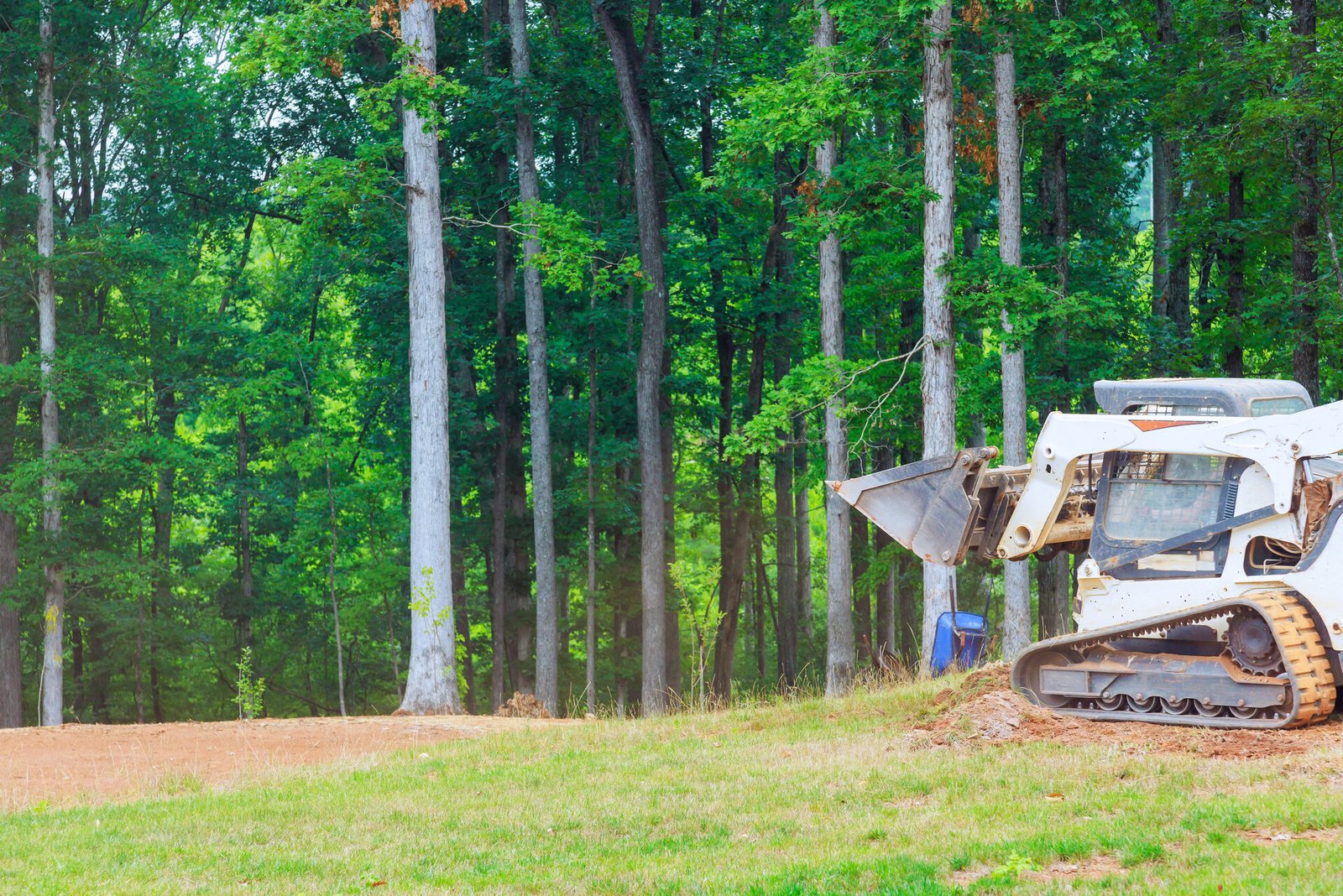 Brush clearing service