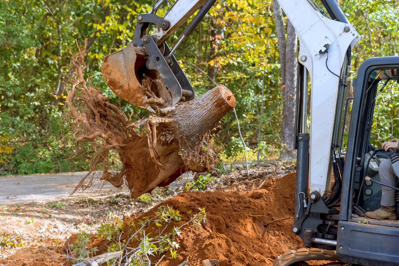 Stump grinding service