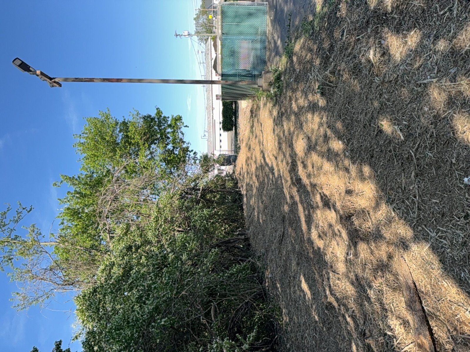 Stump Grinding after clearing