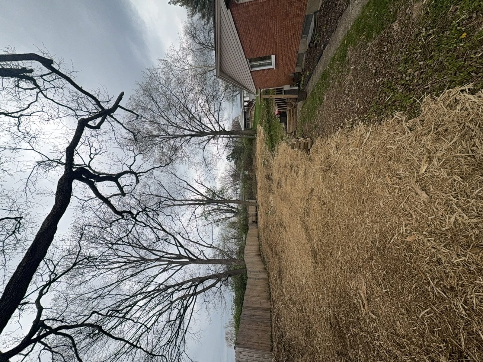 Food Plot Preparation after clearing