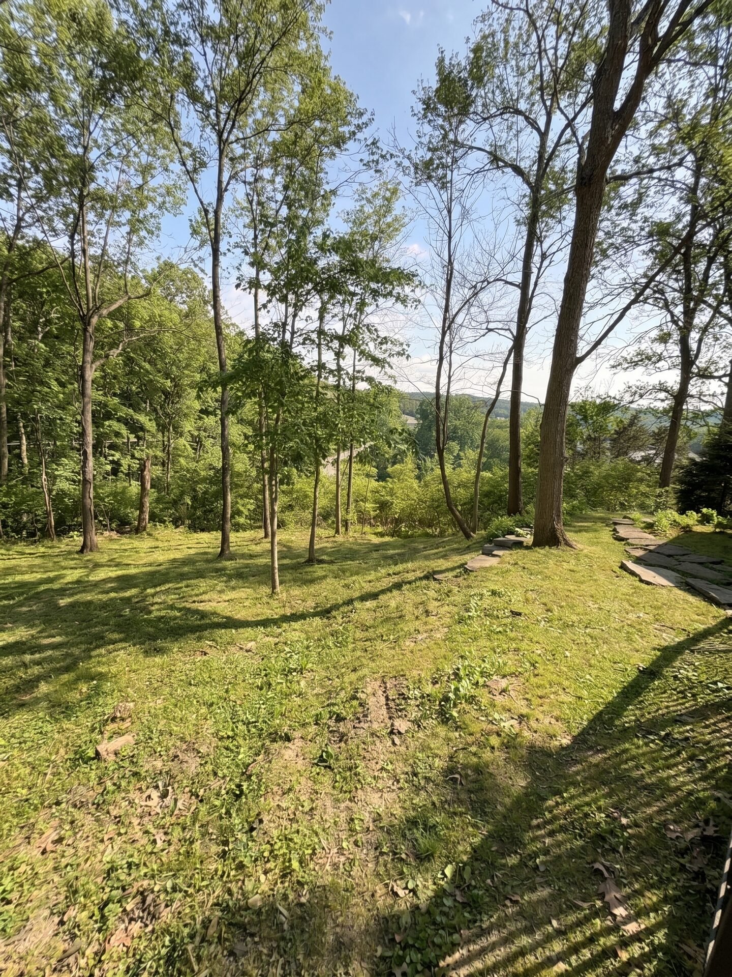 Forestry Mulching maintained
