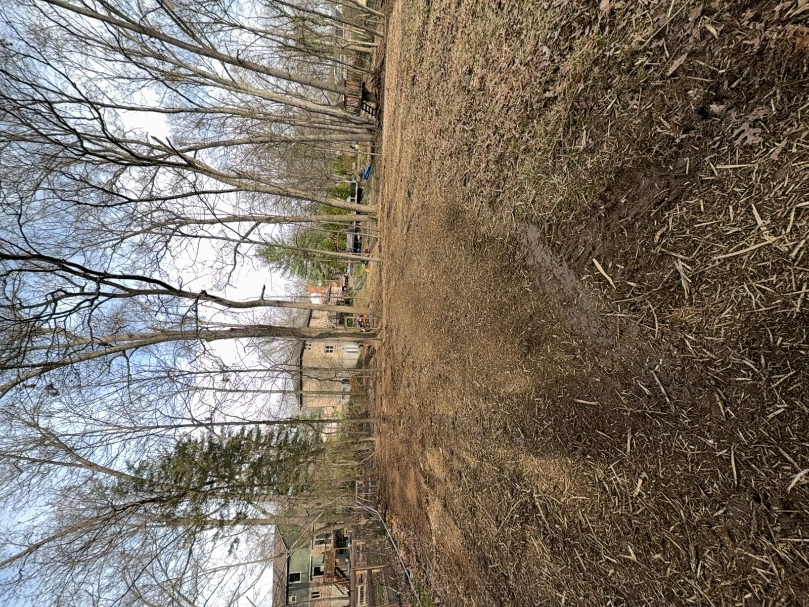 Brush Cleanup after clearing