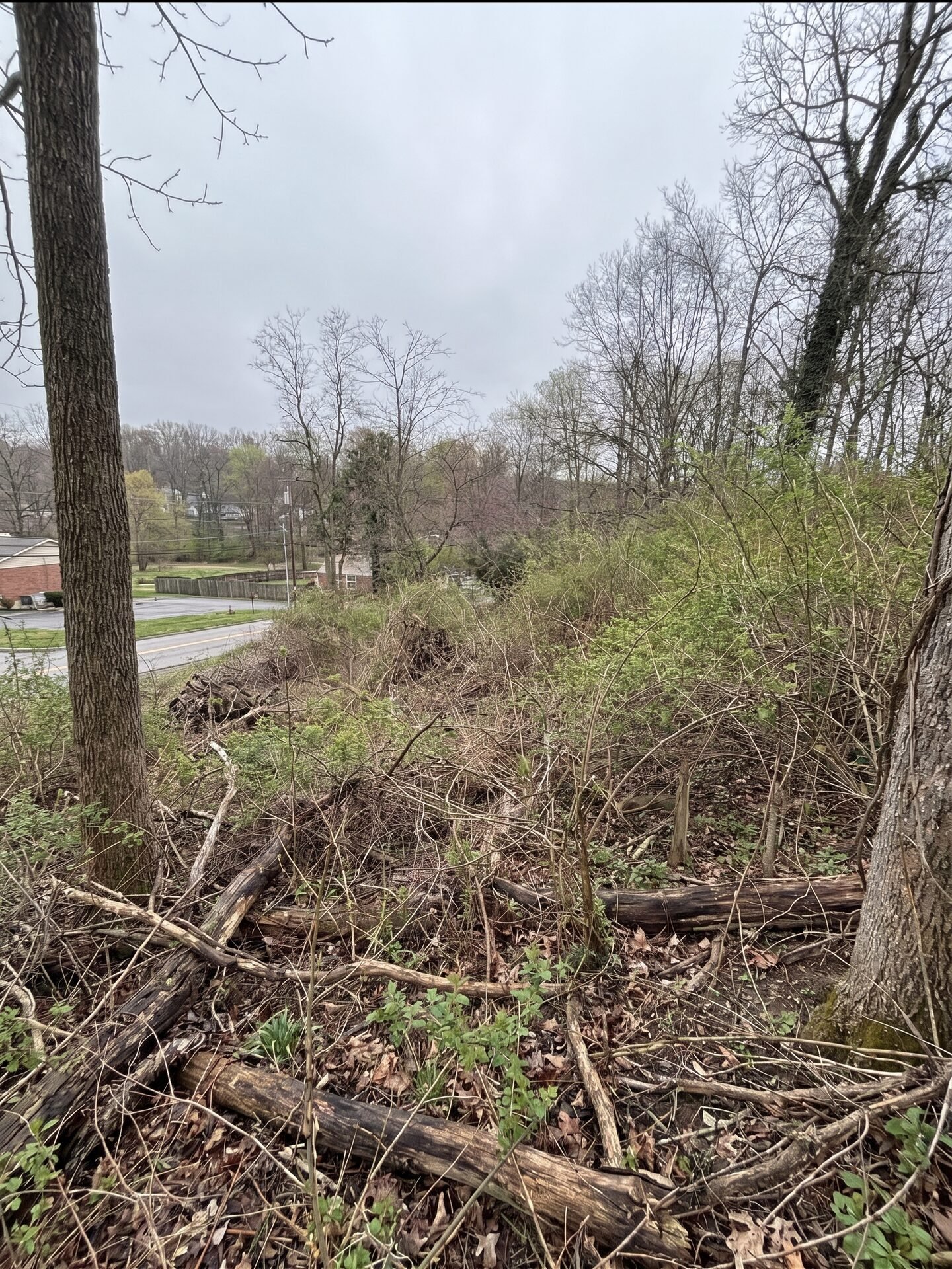 Food Plot Preparation before