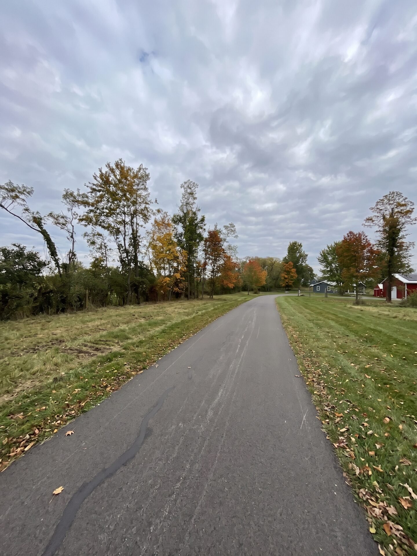 Right-of-Way Clearing maintained