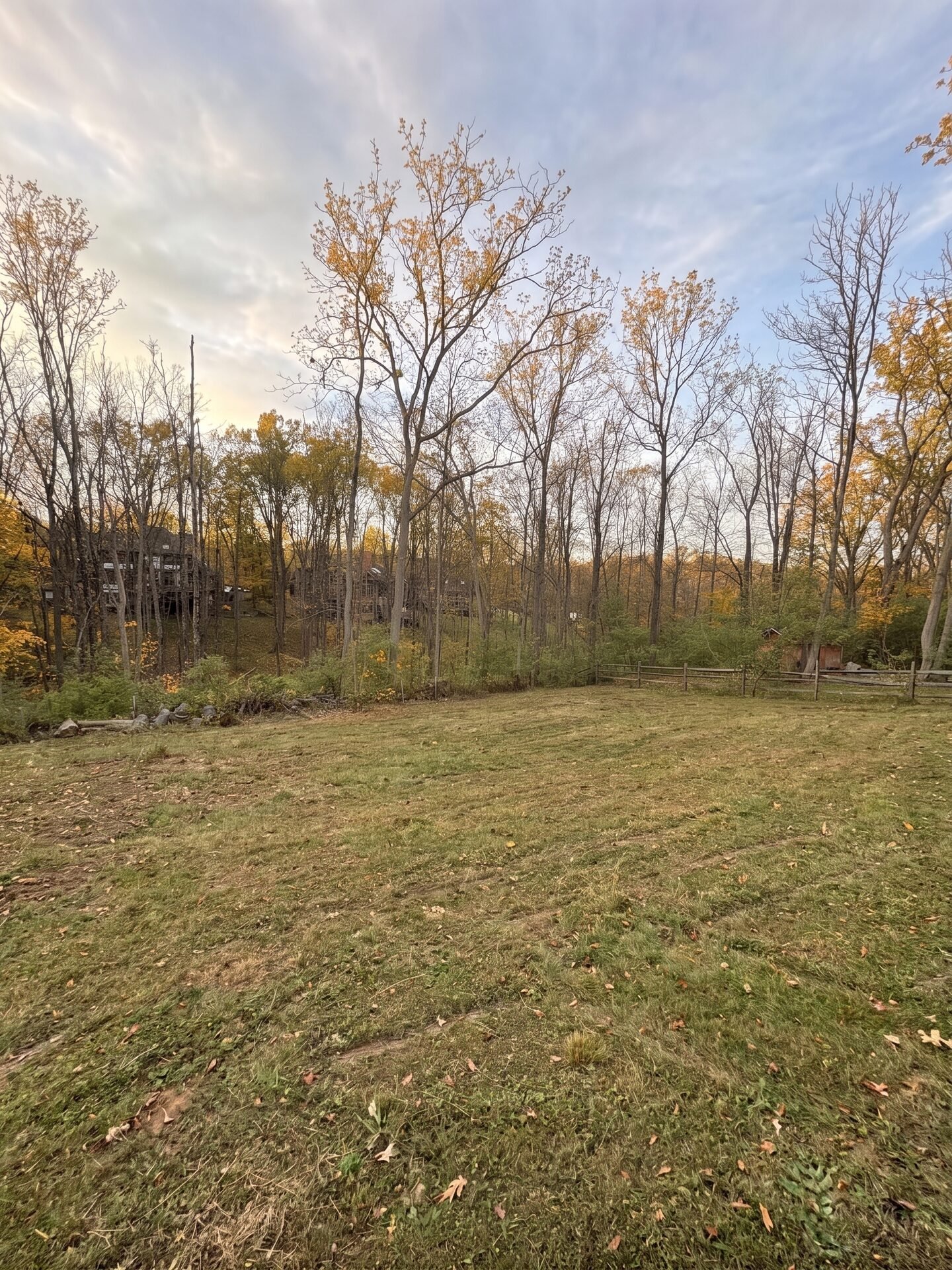 Forestry Mulching maintained