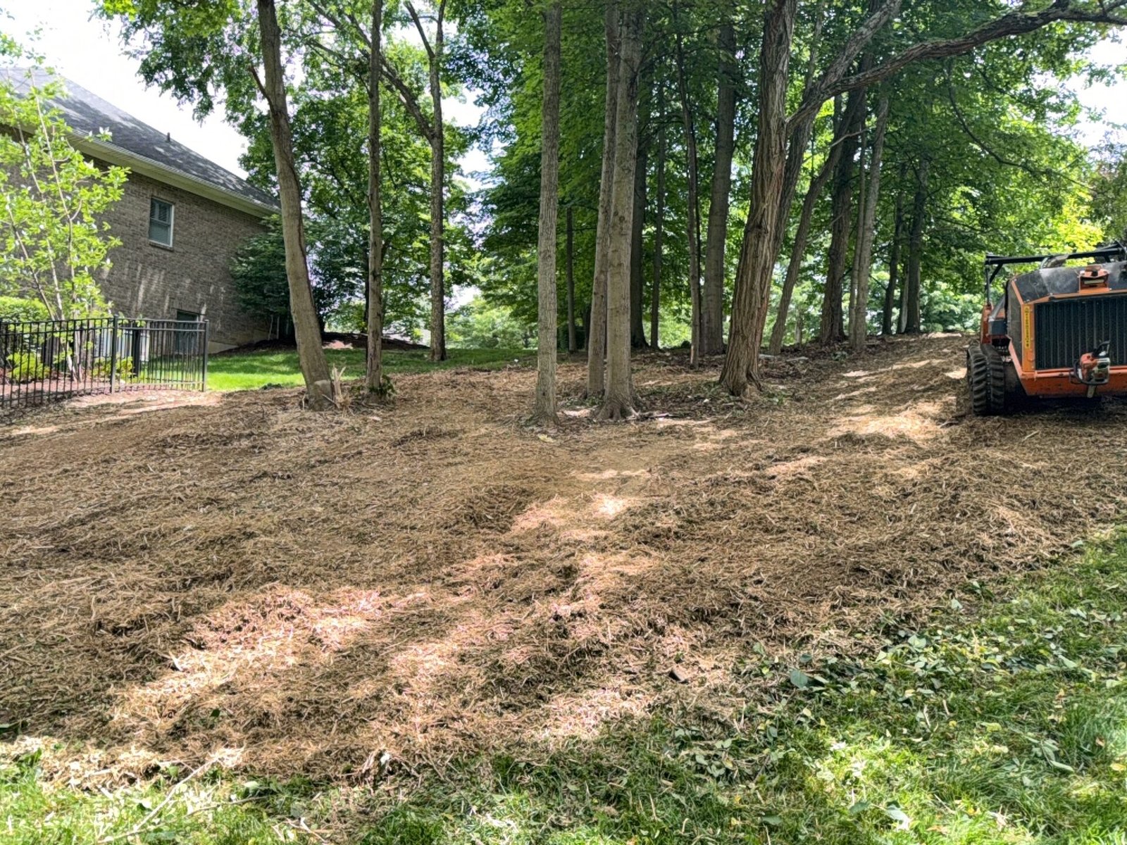 Bush Hogging after clearing