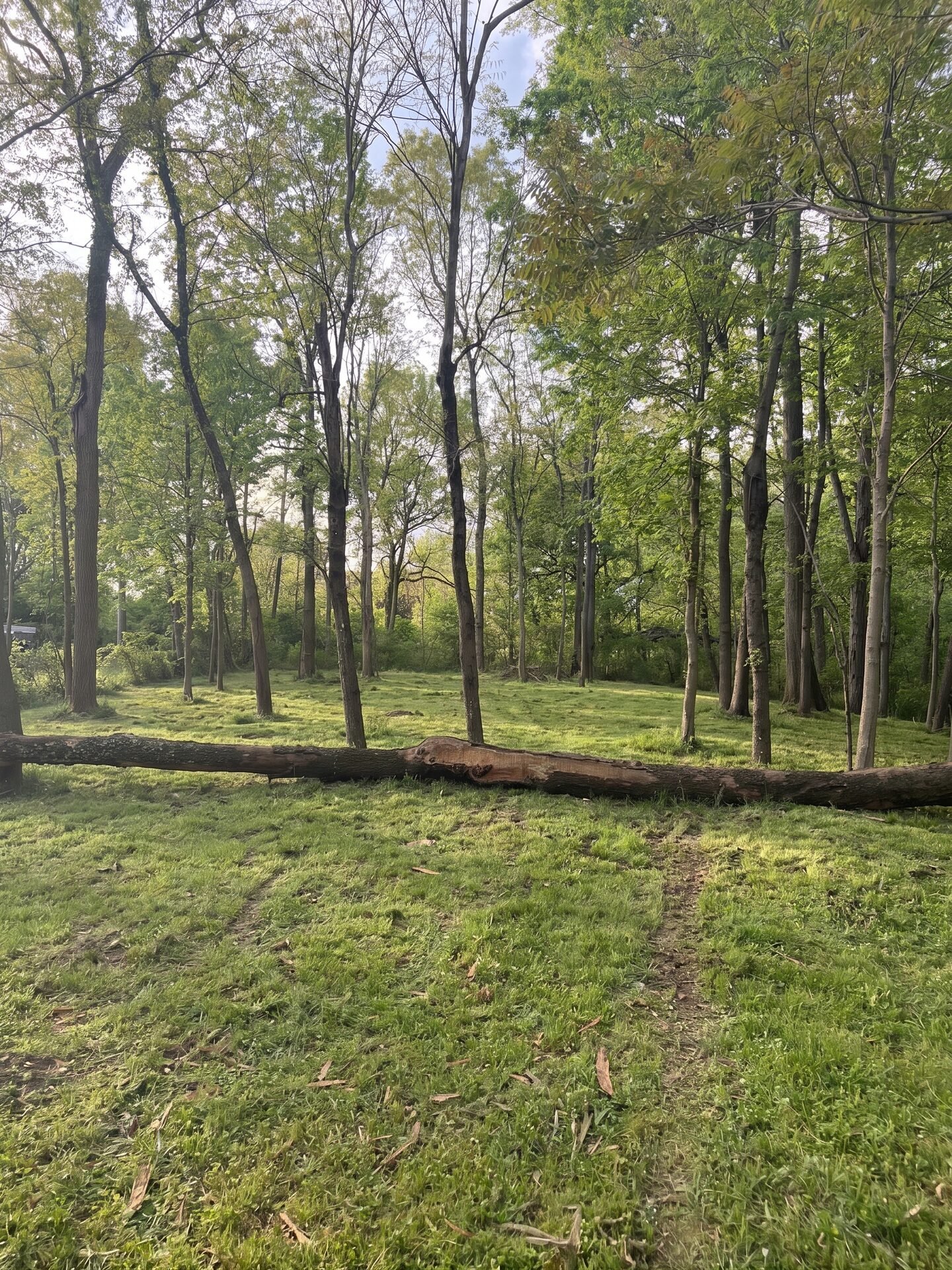 Food Plot Preparation maintained