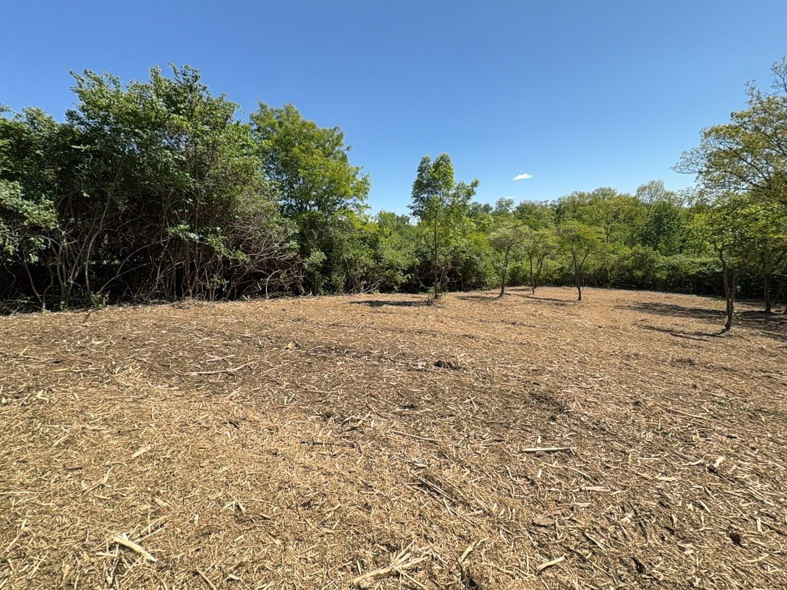 Brush Cleanup after clearing