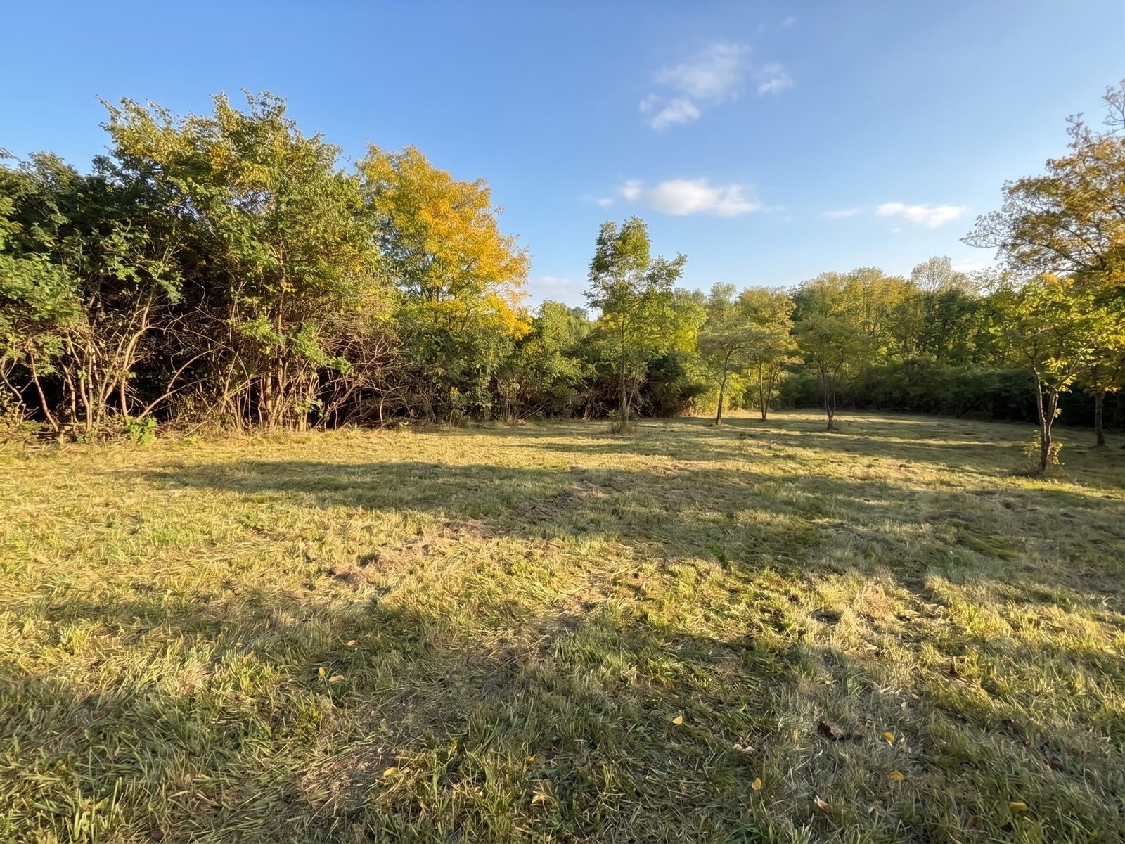 Brush Cleanup maintained