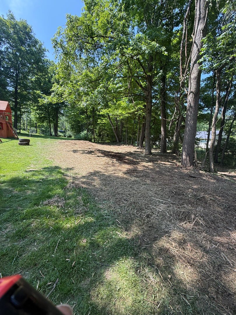 Forestry Mulching after clearing